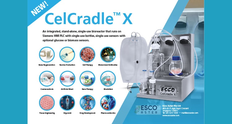 The All-New CelCradle™ X